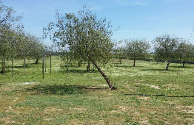 Il Mondo dei Sogni - Foto 78