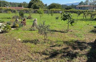 Villa Mercedes - Photo 27