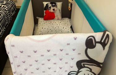 City Center Apartment with Free Parking - Foto 46