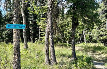Denali Natl Park 3 Bedroom Home on 5 Acres, hiking and wildlife - Foto 21