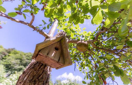 Little Heatherlea - Photo 25