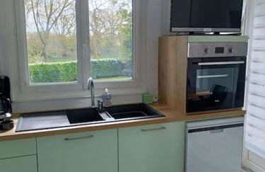 Les hirondelles au bord de l'eau - Foto 8