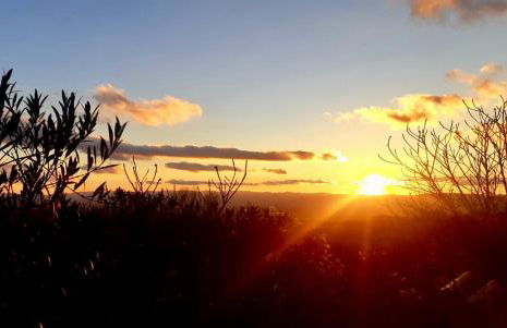 Casa rural Mas Arimany - Photo 37