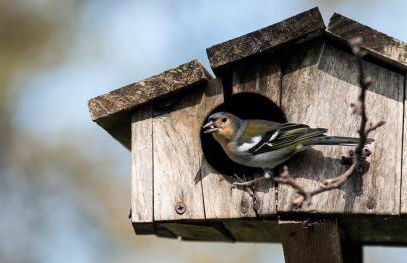 Casas da Levada - Foto 18