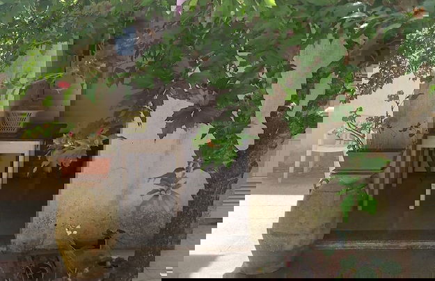 Guest House Salentojoy - Foto 16