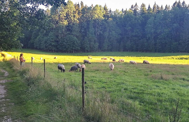 5 Person Holiday Home in Lerum-by Traum - Photo 19