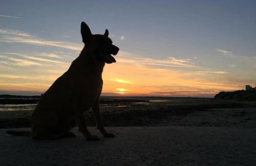 Loriot1- Appartement vue mer sur le fort bloqué ploemeur - Foto 27