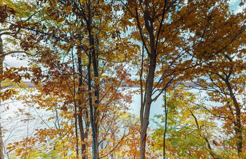 Avant Garde Seneca - Foto 34