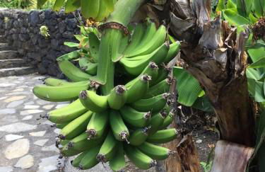 Spacious characterful villa with spectacular views in quiet rural setting. - Foto 52