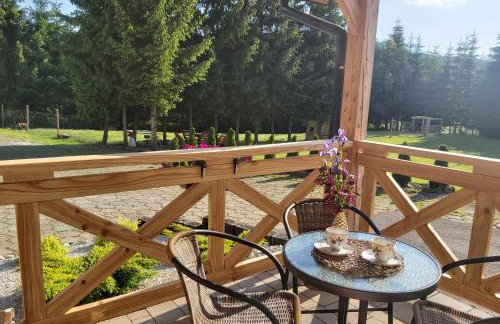 Leśny Dwór Bieszczady - Foto 18