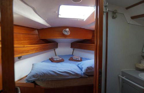 Gloria Sailing - Foto 39