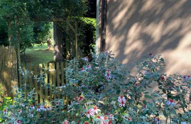 Apartman "Almond house 2" - Foto 17