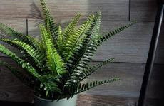 Keller Apartment - DQ Tower - Photo 38