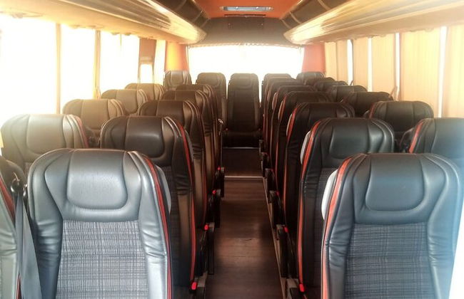 Autobus Turistici e Autonoleggio - Foto 15