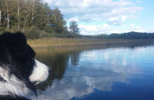 Ferienwohnung Zum Alten Dorfkrug - Foto 15