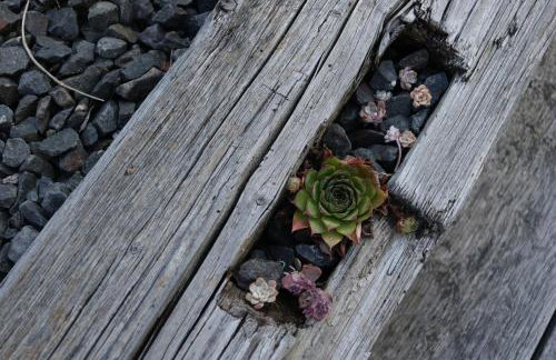 Wohnen mit Genuss - Foto 30