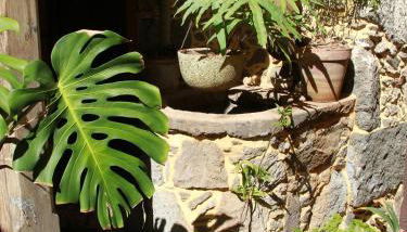 Casa Emblemática La Pileta - Photo 3