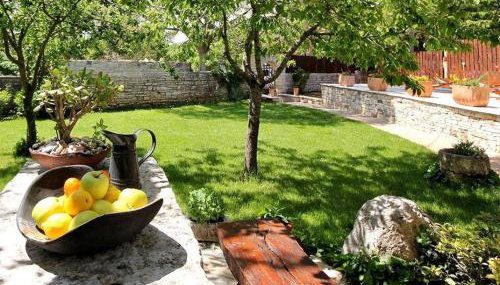 Villa Violica, Karnevali - Foto 4