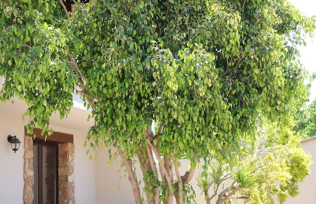 B Holidays Casa Vacanze - Foto 7