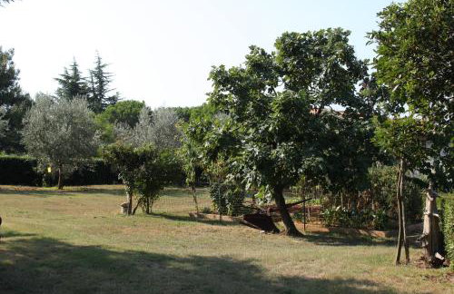 Apartments with parking space Umag - 6995 - Foto 8