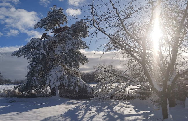 Holiday Home 'ardennes Blue' in Theux Near Spa - Photo 44