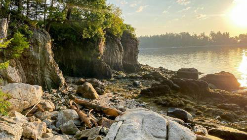 Seguinlandia - Foto 3