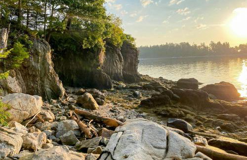 Seguinlandia - Foto 3