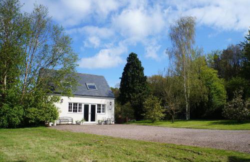 Burraton Cob - Foto 1