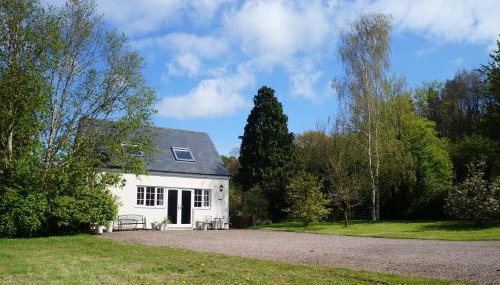 Burraton Cob - Foto 1