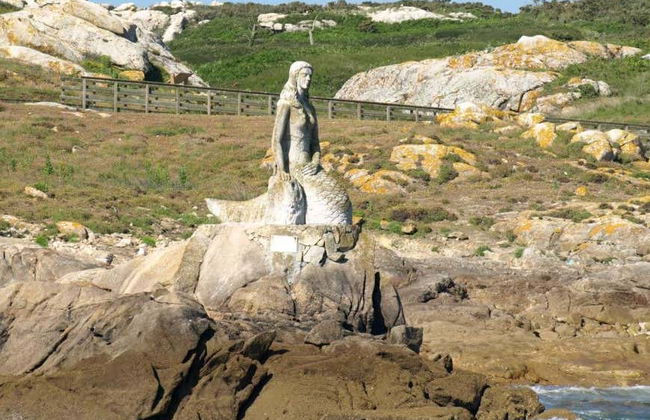 Excursion à l'île de Sálvora - Photo 4