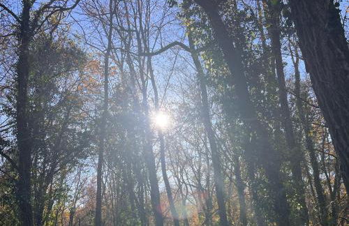 Blue Horizons Farm - Countryside Gîte - Pet Friendly - Sleeps 8 - Foto 18