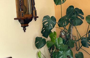 Casa Rita - Foto 4