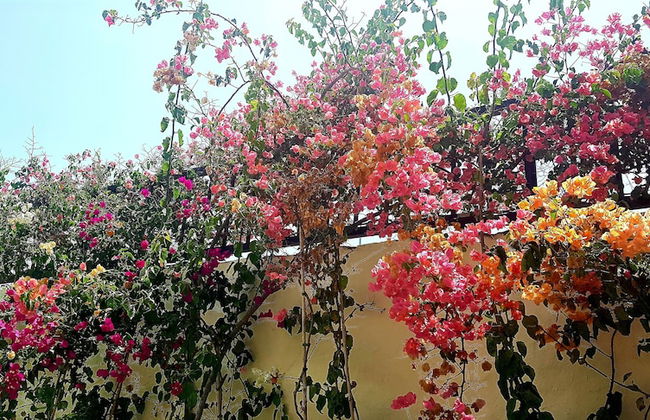 Vip Apartamentos Nogal - Foto 20