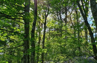 The Old Barn - Photo 18