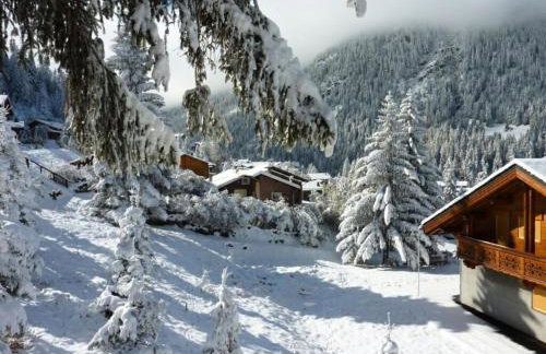 Les Chalets D'arrondaz - Appartement spacieux 10/12 personnes 90 m² MAE-7014 - Foto 25