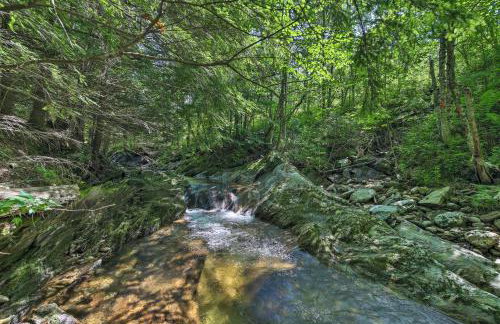 Ski Lodge Mtn Retreat with Fire Pit, Deck and Views! - Foto 32