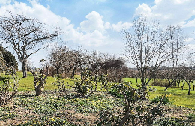 4 Person Holiday Home in Ostervra - Foto 37