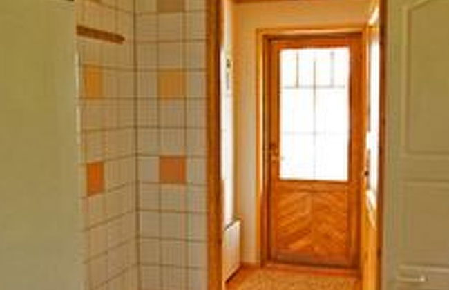 Keltavuokko - Foto 16