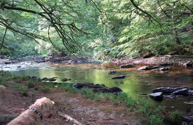 Sheepfold Cottage Dulverton - Foto 21