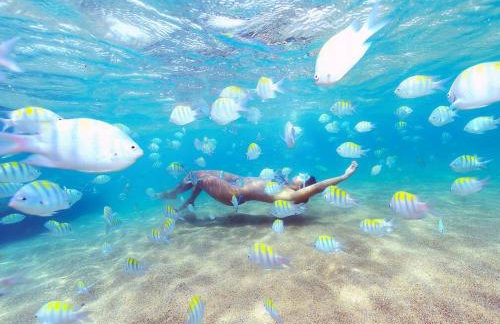 Apê 2: Pé na Areia Maragogi - O Caribe Brasileiro - Foto 13