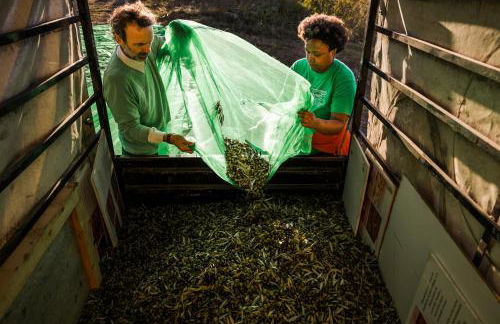 Casa de diseño con gran terraza - Foto 53