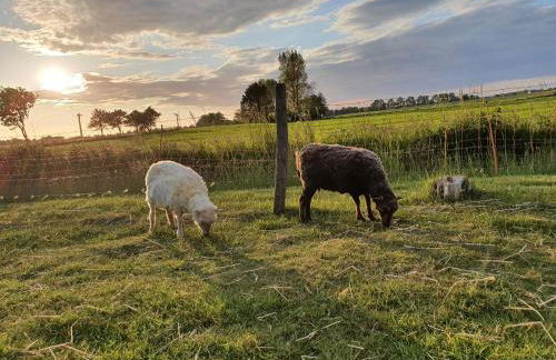 Villa Friesenkät - Deichblick - Photo 1