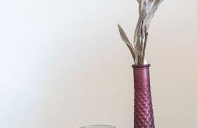 Die Nummer eins - Ferienwohnungen Hufnagel - Foto 32