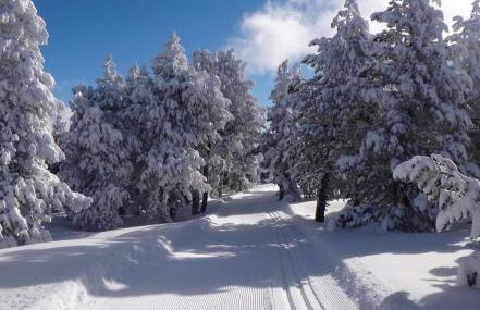 LA PRADELLA BOLQUERE Pyrénéés 2000 - Foto 20