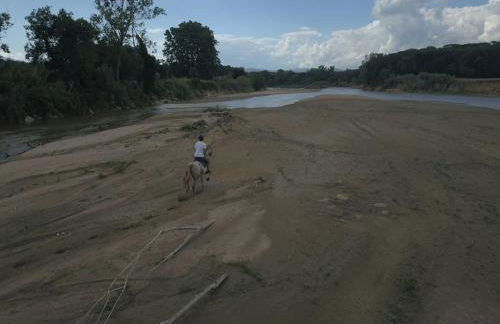 LOS TILOS Casa rural en el campo. - Photo 57