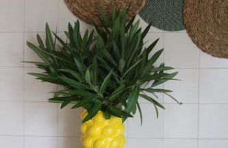 SixtyNine Beach Cottage - Foto 49