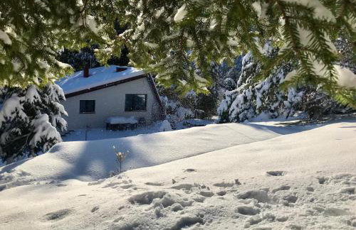 Domek Koziołek przy szlaku, Szyndzielnia, Klimczok, Szczyrk, Bania - Foto 26