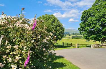 Cosy couples bolthole heart of Brecon Beacons - Photo 21