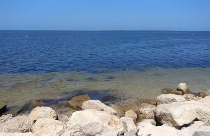 Walk Everywhere! 1-Bedroom Gem in Downtown Hub - Foto 54