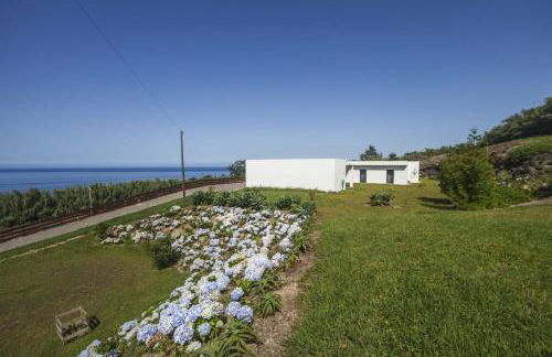 Quinta da Morgadia - Azorean Butler - Photo 30